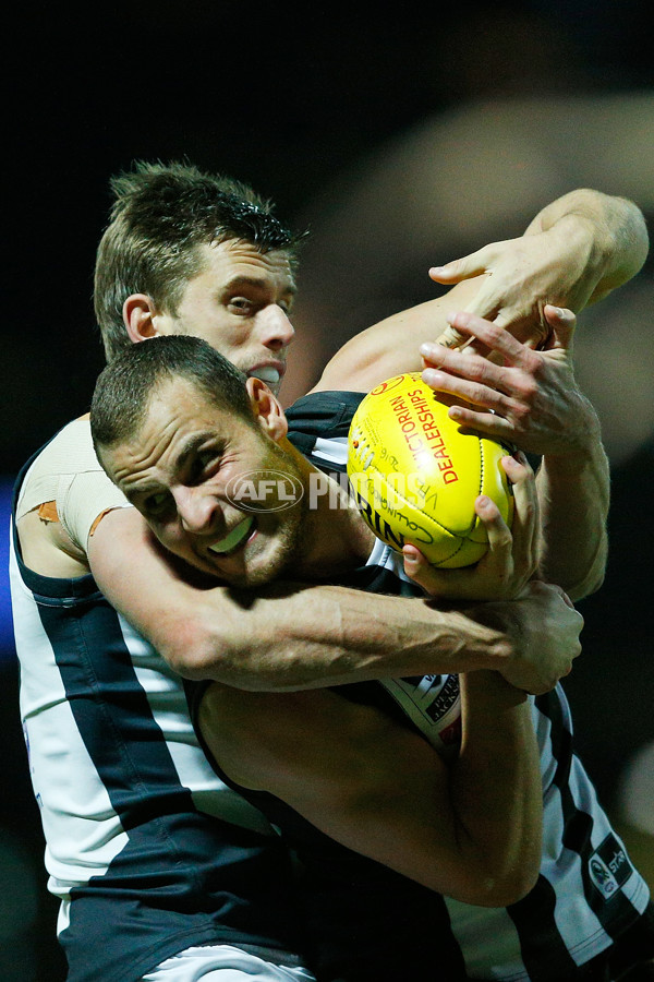 VFL 2016 Rd 13 - Collingwood v Northern Blues - 452750