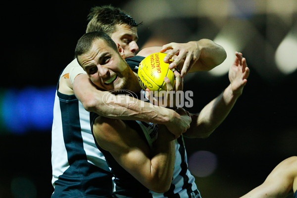 VFL 2016 Rd 13 - Collingwood v Northern Blues - 452751