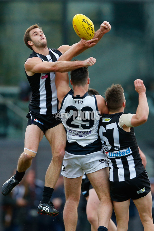 VFL 2016 Rd 13 - Collingwood v Northern Blues - 452767