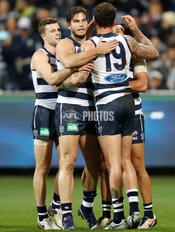 AFL 2016 Rd 16 - Geelong v Sydney - 453319