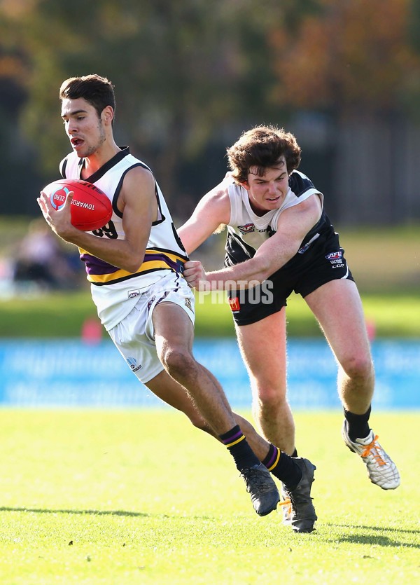 2016 TAC Cup Rd 13 - North Ballarat Rebels v Murray Bushrangers - 453532