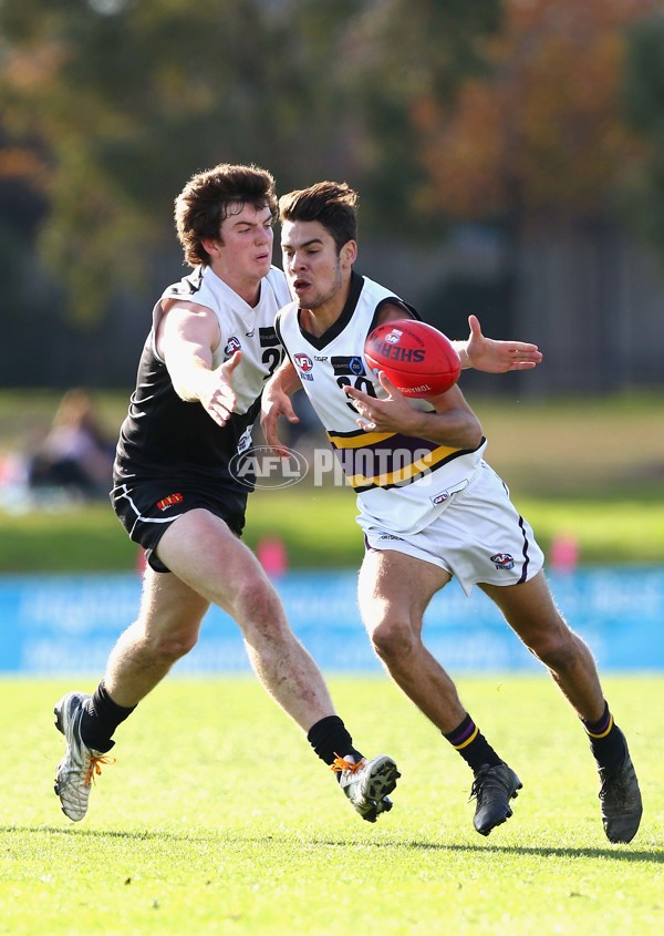 2016 TAC Cup Rd 13 - North Ballarat Rebels v Murray Bushrangers - 453530