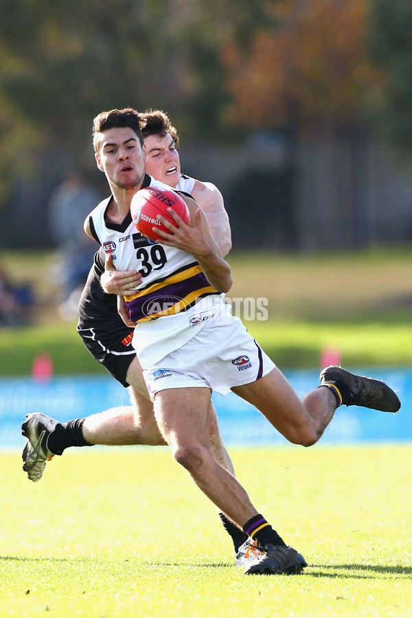 2016 TAC Cup Rd 13 - North Ballarat Rebels v Murray Bushrangers - 453531