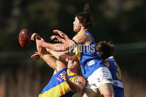 VFL 2016 Rd 14 - Box Hill Hawks v Williamstown - 453518