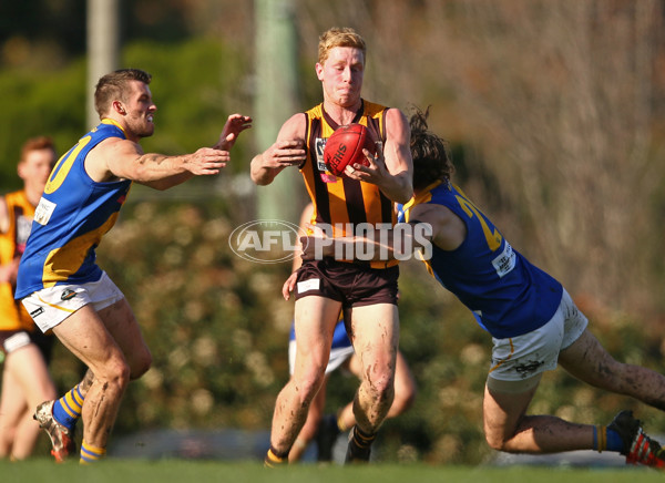 VFL 2016 Rd 14 - Box Hill Hawks v Williamstown - 453537