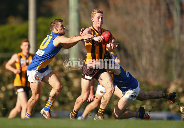 VFL 2016 Rd 14 - Box Hill Hawks v Williamstown - 453536