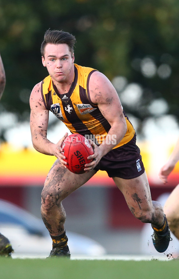 VFL 2016 Rd 14 - Box Hill Hawks v Williamstown - 454184