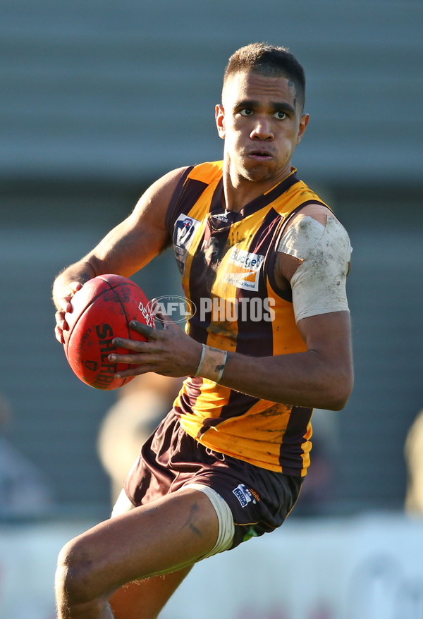 VFL 2016 Rd 14 - Box Hill Hawks v Williamstown - 454198