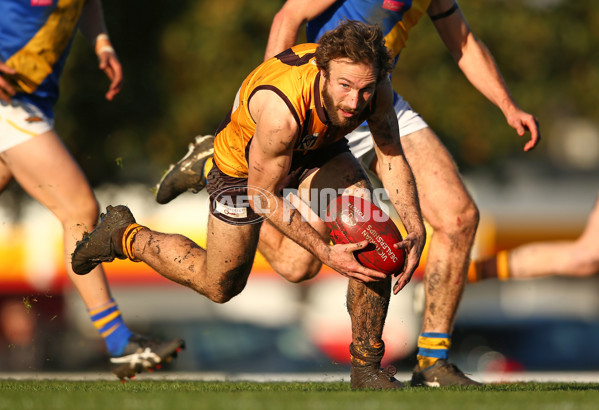 VFL 2016 Rd 14 - Box Hill Hawks v Williamstown - 454195