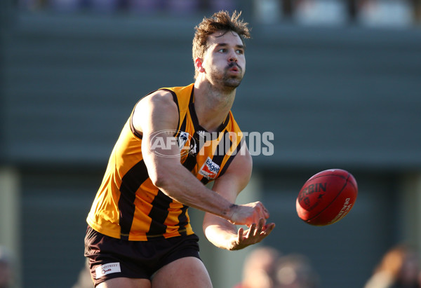 VFL 2016 Rd 14 - Box Hill Hawks v Williamstown - 454199