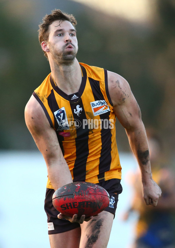 VFL 2016 Rd 14 - Box Hill Hawks v Williamstown - 454224