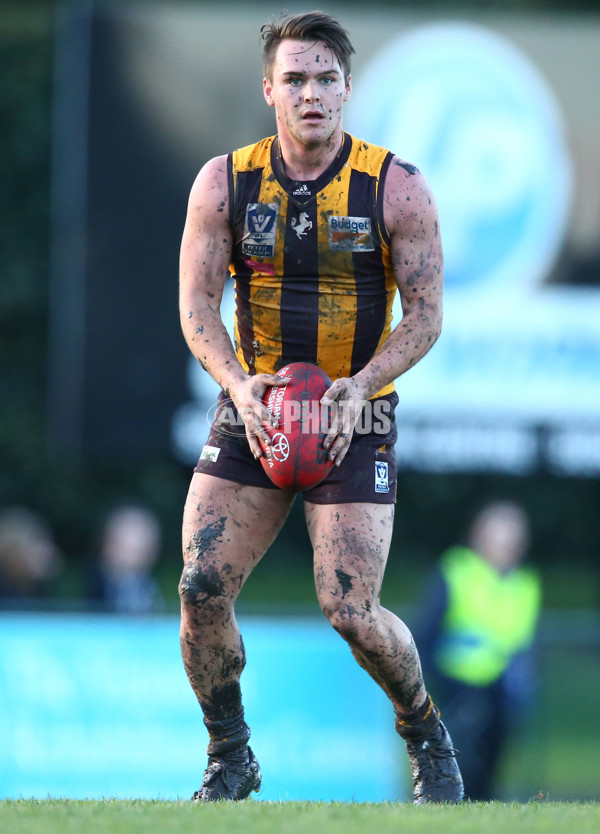 VFL 2016 Rd 14 - Box Hill Hawks v Williamstown - 454218