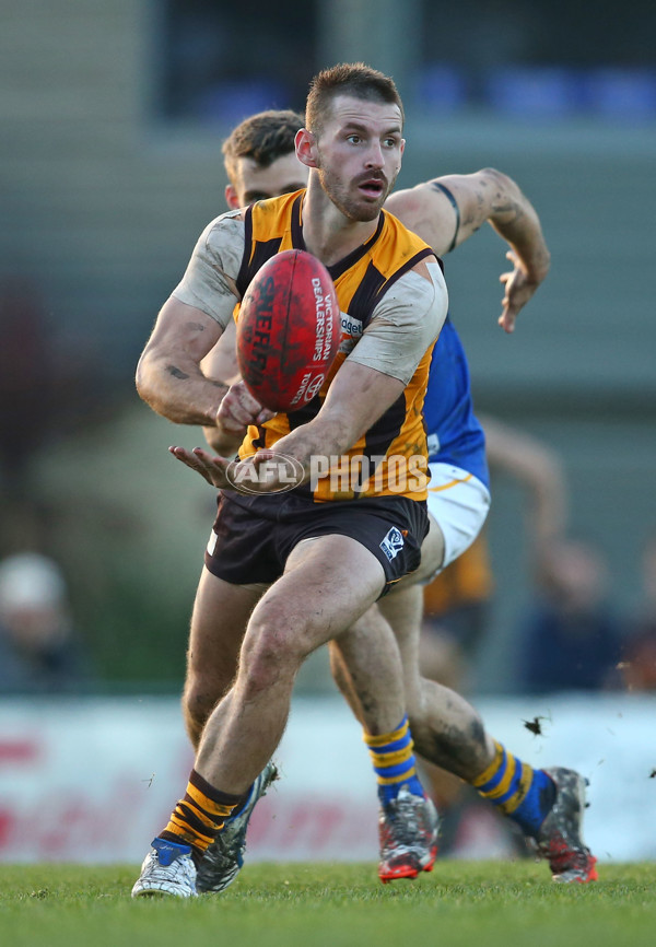 VFL 2016 Rd 14 - Box Hill Hawks v Williamstown - 454222