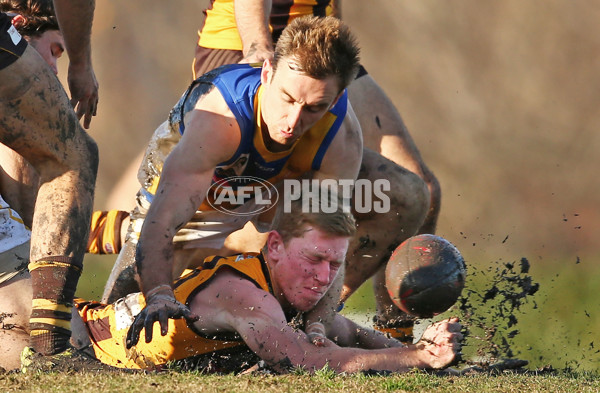 VFL 2016 Rd 14 - Box Hill Hawks v Williamstown - 454243