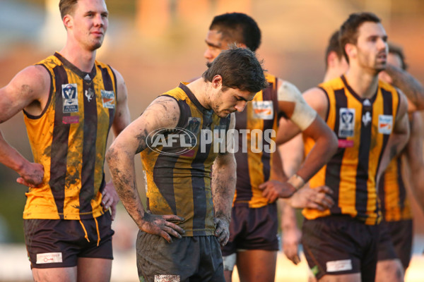 VFL 2016 Rd 14 - Box Hill Hawks v Williamstown - 454226