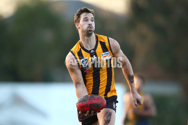 VFL 2016 Rd 14 - Box Hill Hawks v Williamstown - 454223