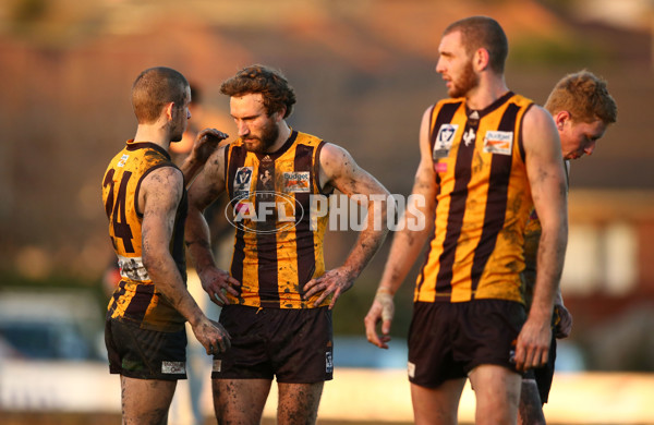 VFL 2016 Rd 14 - Box Hill Hawks v Williamstown - 454225