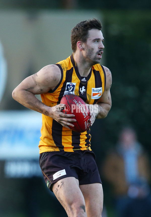 VFL 2016 Rd 14 - Box Hill Hawks v Williamstown - 454220