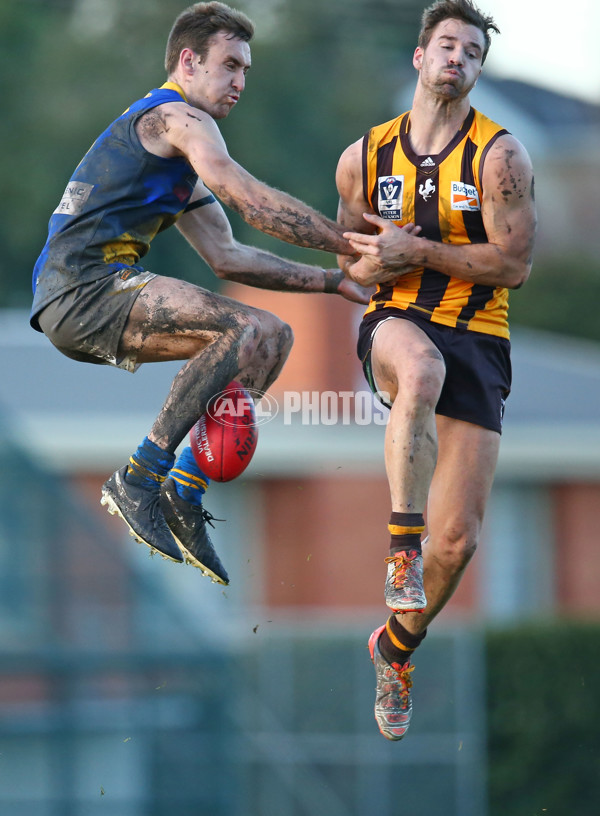 VFL 2016 Rd 14 - Box Hill Hawks v Williamstown - 454271