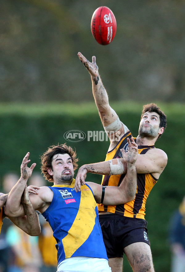 VFL 2016 Rd 14 - Box Hill Hawks v Williamstown - 454274