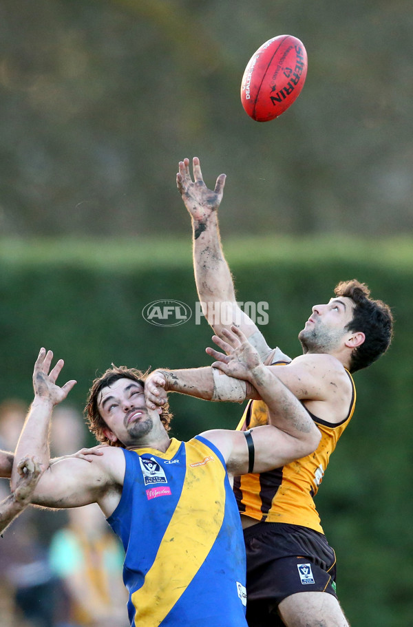 VFL 2016 Rd 14 - Box Hill Hawks v Williamstown - 454276