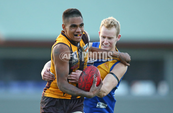 VFL 2016 Rd 14 - Box Hill Hawks v Williamstown - 454277