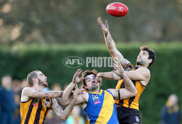 VFL 2016 Rd 14 - Box Hill Hawks v Williamstown - 454275