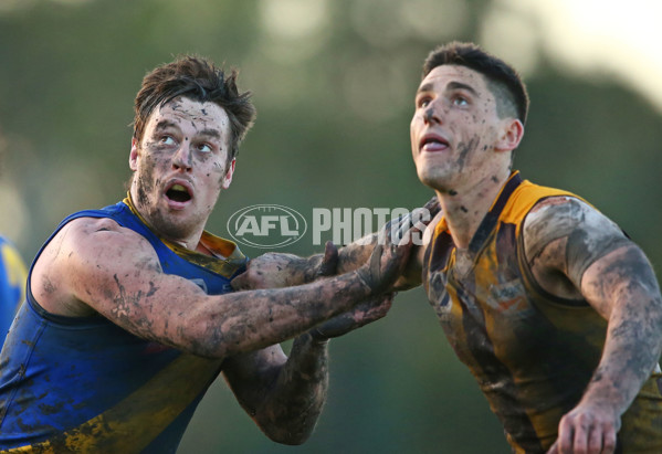 VFL 2016 Rd 14 - Box Hill Hawks v Williamstown - 454273