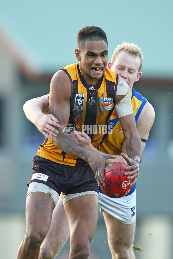 VFL 2016 Rd 14 - Box Hill Hawks v Williamstown - 454278