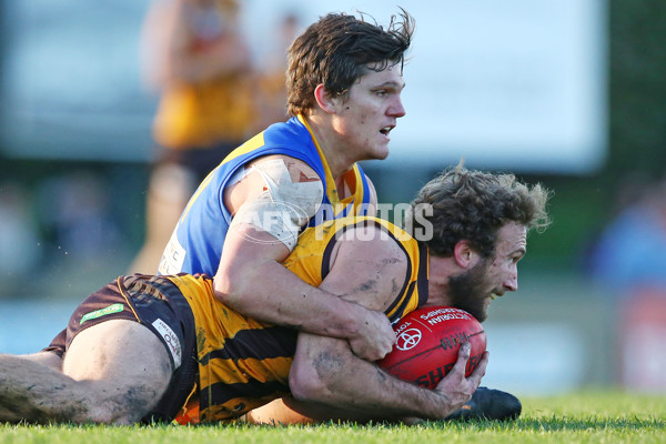 VFL 2016 Rd 14 - Box Hill Hawks v Williamstown - 454270