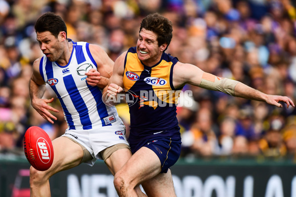 AFL 2016 Rd 16 - West Coast v North Melbourne - 454418