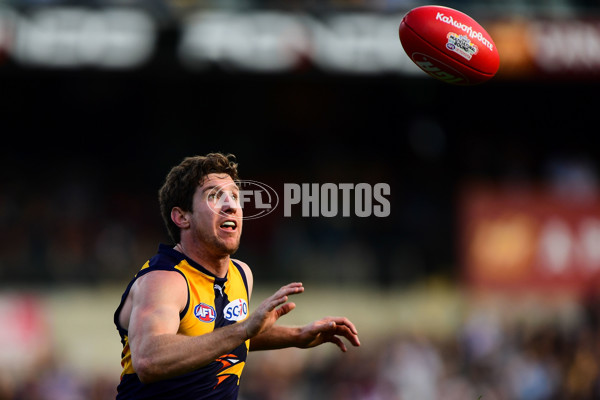 AFL 2016 Rd 16 - West Coast v North Melbourne - 454552