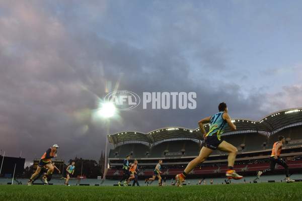 Adelaide 2016 Pie night - 455035