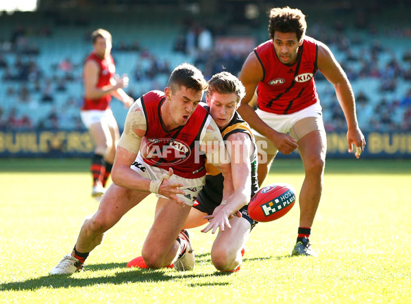 AFL 2016 Rd 17 - Richmond v Essendon - 455509