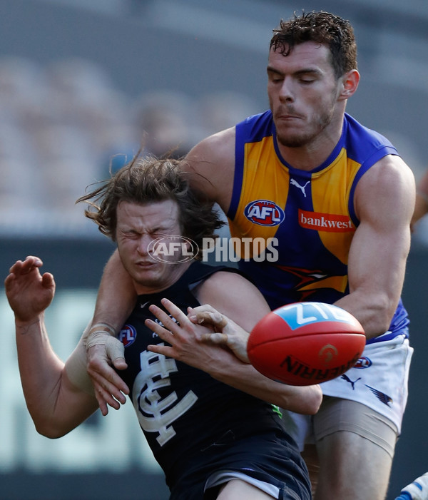 AFL 2016 Rd 17 - Carlton v West Coast - 456143