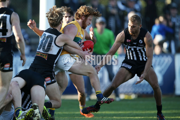 SANFL 2016 Rd 16 - Port Adelaide v Eagles - 456205