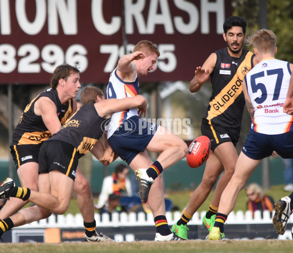 Adelaide 2016 - R16 v Glenelg - 456424