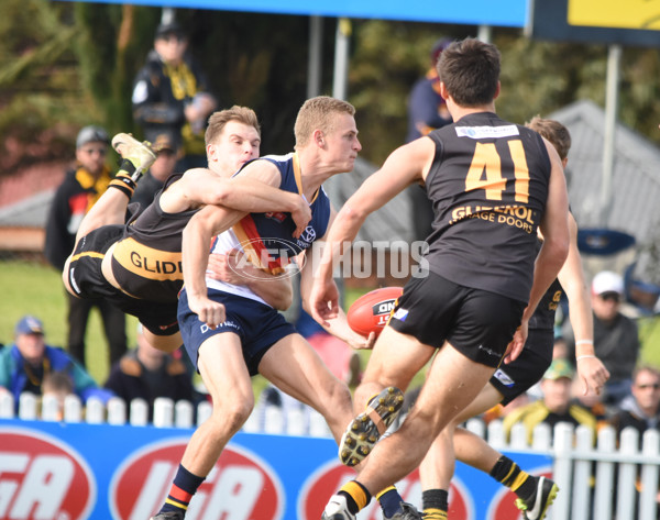 Adelaide 2016 - R16 v Glenelg - 456437