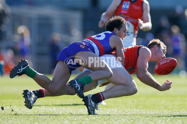 VFL 2016 Rd 15 - Footscray v Casey Scorpians - 456451