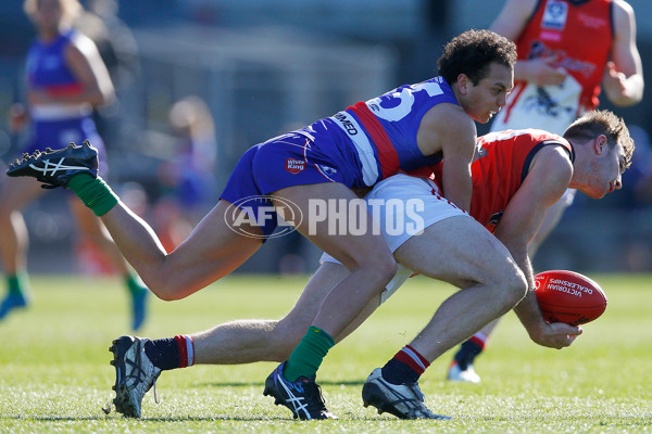 VFL 2016 Rd 15 - Footscray v Casey Scorpians - 456459