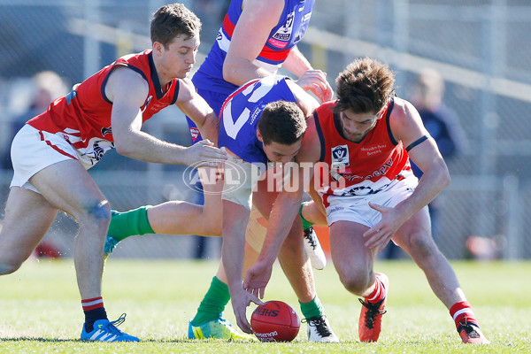 VFL 2016 Rd 15 - Footscray v Casey Scorpians - 456469