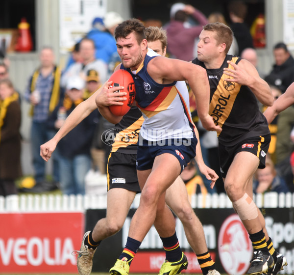 Adelaide 2016 - R16 v Glenelg - 456432
