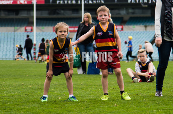 Adelaide 2016 Crows in Clubs - 456693