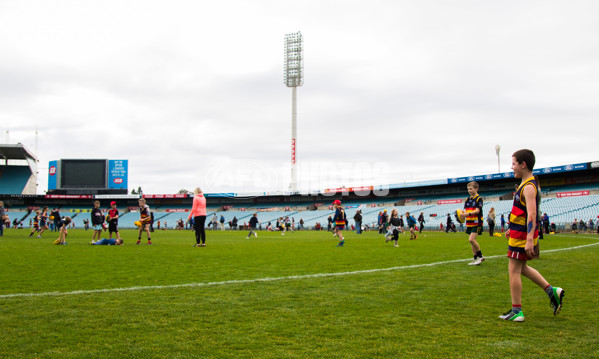 Adelaide 2016 Crows in Clubs - 456696
