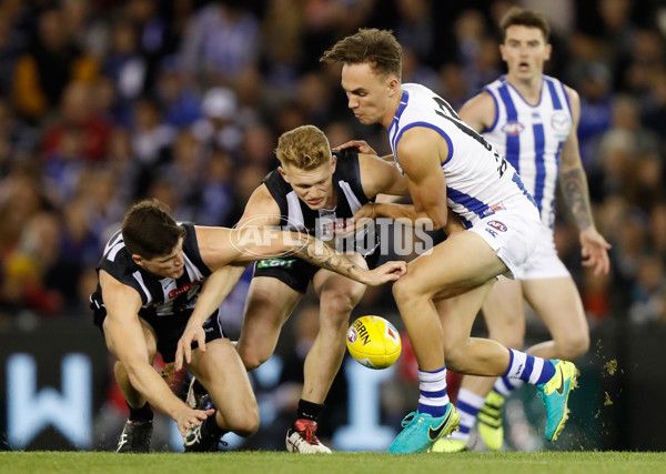 AFL 2016 Rd 18 - Collingwood v North Melbourne - 456940