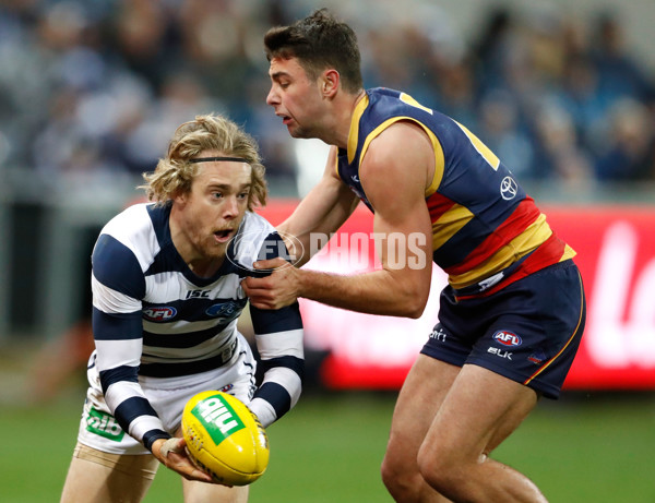 AFL 2016 Rd 18 - Geelong v Adelaide - 457530