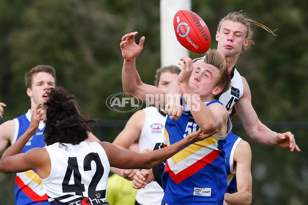 TAC 2016 Rd 14  - Northern Knights v Eastern Ranges - 457956