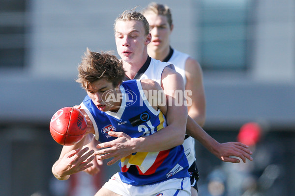 TAC 2016 Rd 14  - Northern Knights v Eastern Ranges - 457959