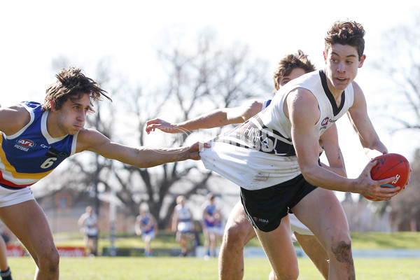 TAC 2016 Rd 14  - Northern Knights v Eastern Ranges - 457964