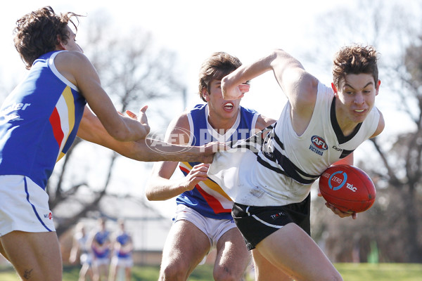 TAC 2016 Rd 14  - Northern Knights v Eastern Ranges - 457966